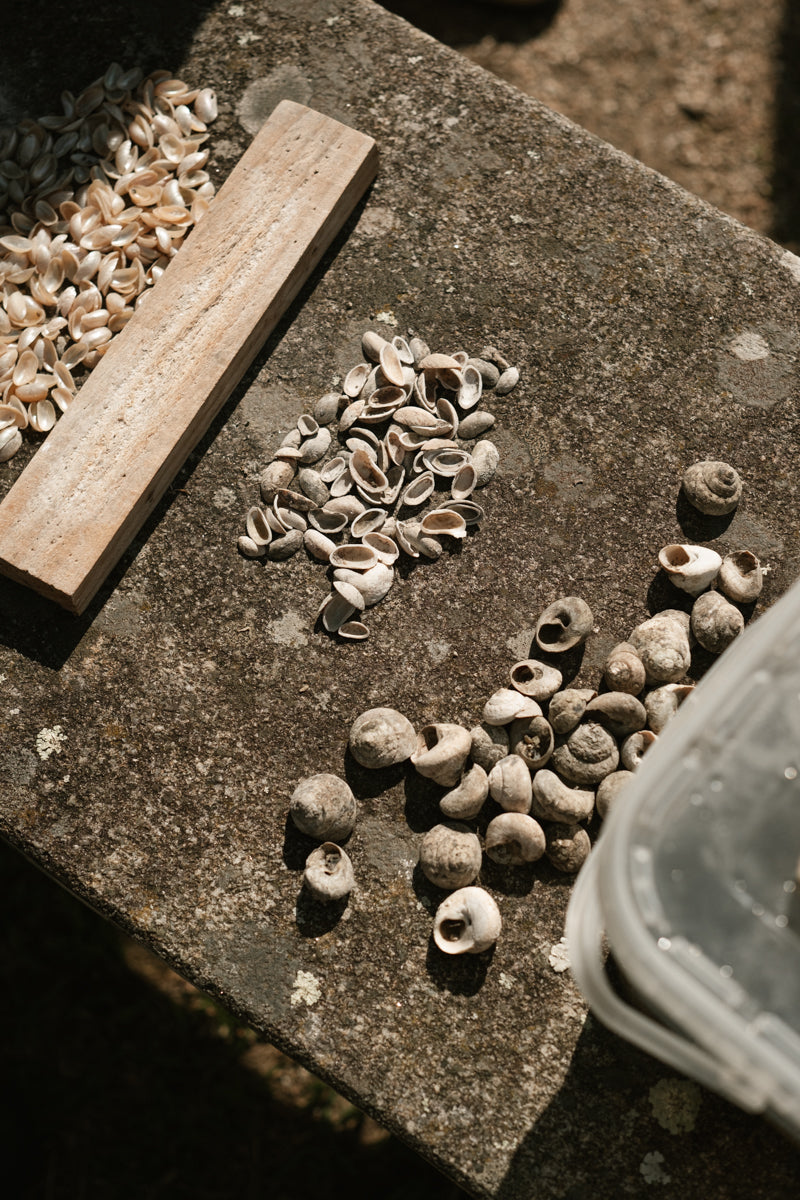 뉴 러브 네크리스