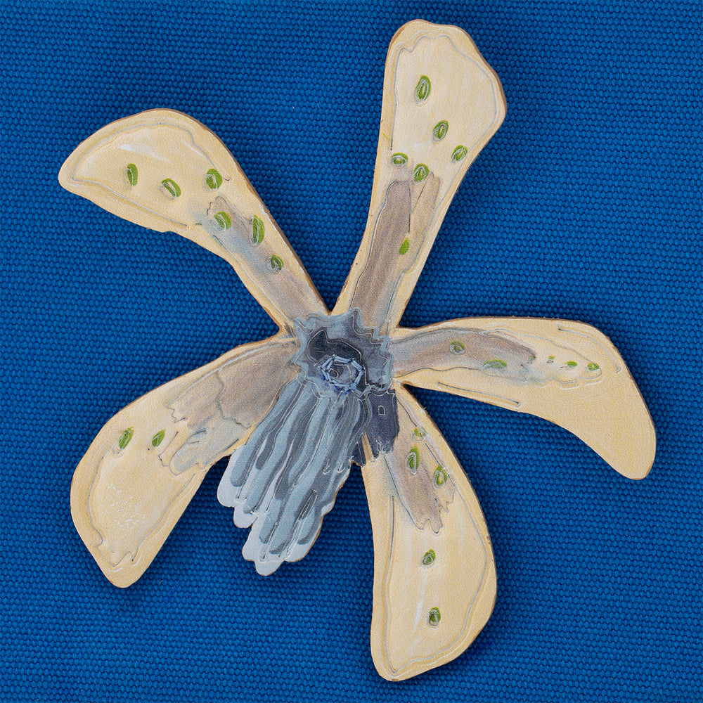 White Orchid Wallet Blue L