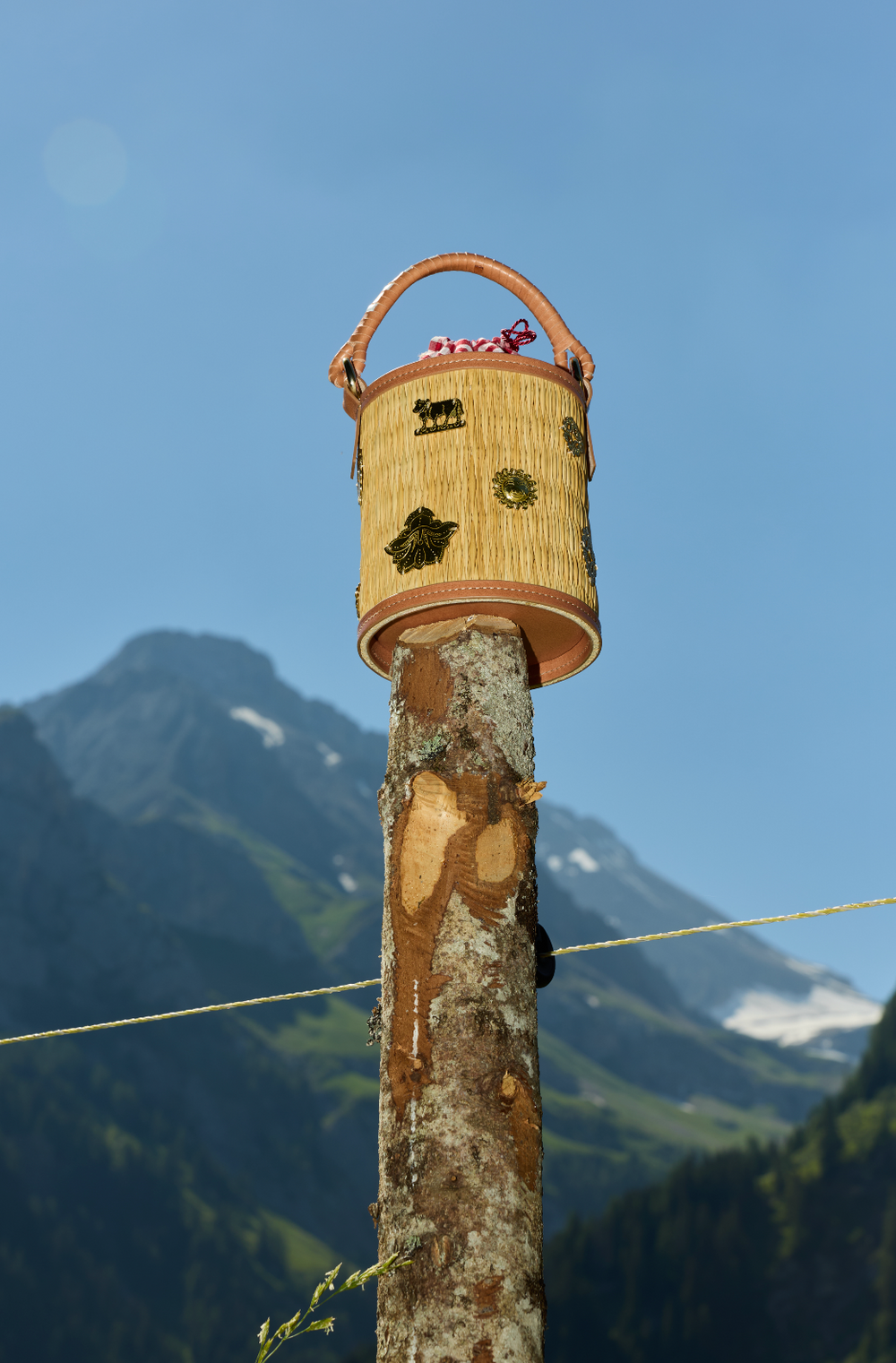 Appenzella Cupid "La Foresta" Limited Edition