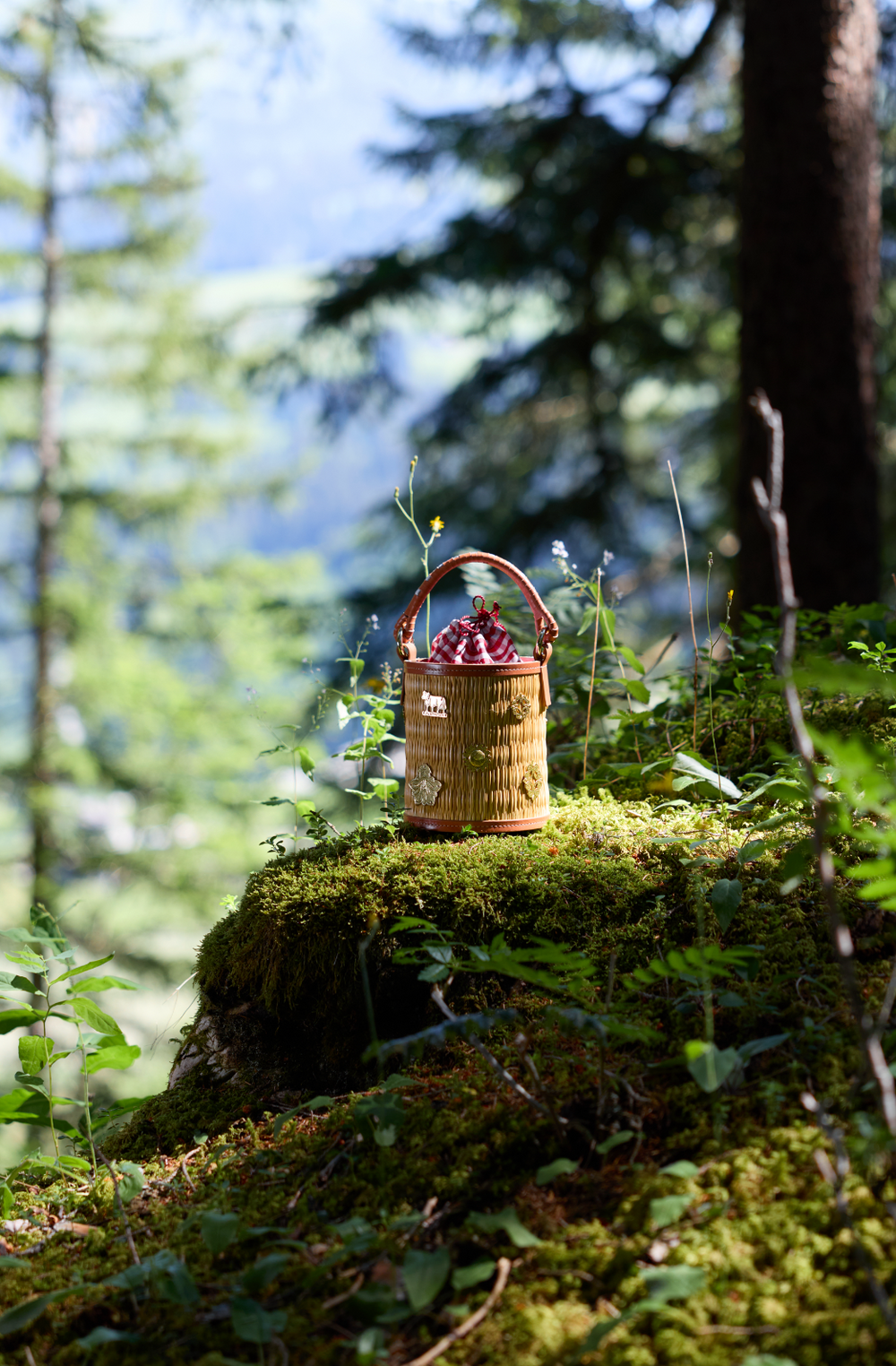 Appenzella Cupid "La Foresta" Limited Edition