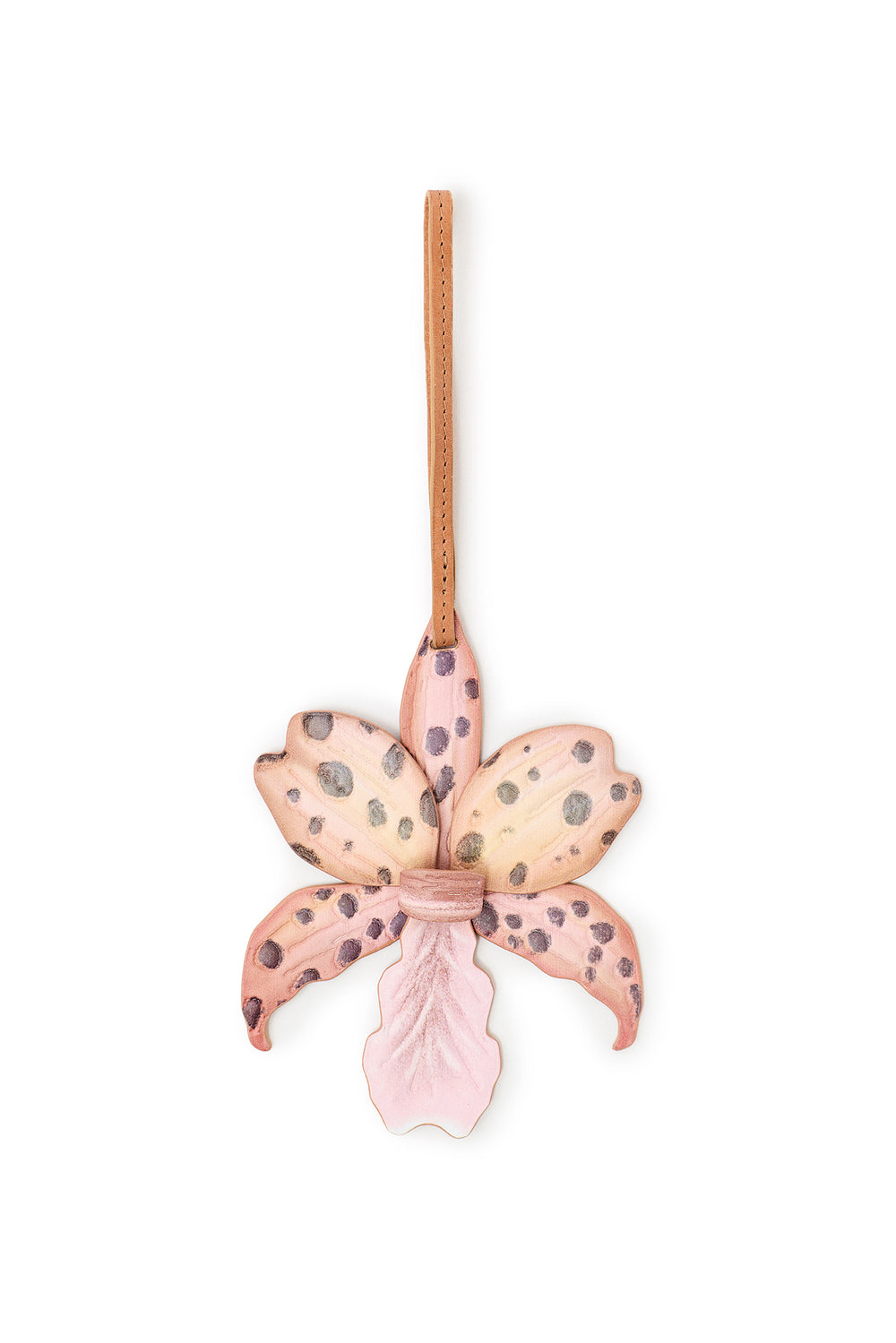 Found by the Sea Set