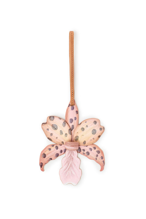 Charm Orchide Sun Set 